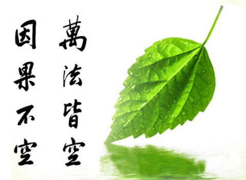 因果不空,万法皆空图片